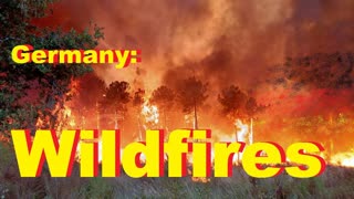 Germany: Wildfires