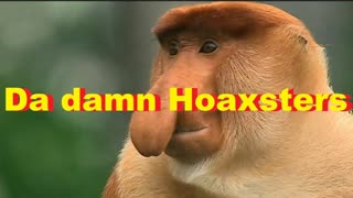 Da damn Hoaxsters