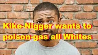 Kike-Nigger wants to poison-gas all Whites