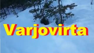 Varjovirta