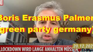 Boris Erasmus Palmer (green party germany)