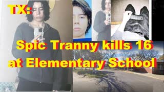 TX: Spic Tranny kills 16 at Elementary School