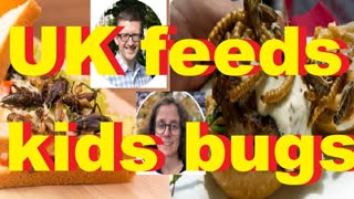 UK feeds kids bugs