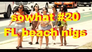 sowhat #20 - FL beach nigs