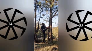 Slav Spars With Tree