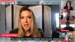 Dr. Carrie Madej on Hydra vulgaris, nanobots, and graphene found in vaccination vials