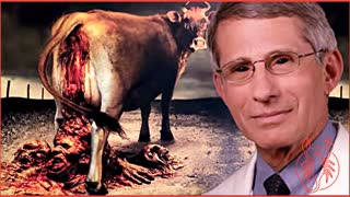 Dr. Anthony Fauci is a death cult leader who has been possessed by the Faggot Demon.