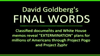 David Goldberg's Final Words