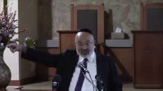 Rabbi: How Jews Supplied Arms for Wars in Europe