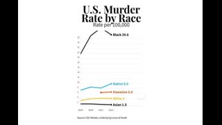 US Murder Rate By Race