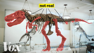 How scientists Fake dinosaurs.