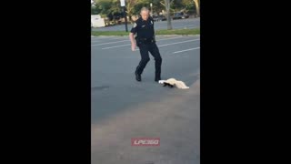 Skunk sprays police officer