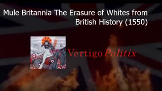 Vertigo Politix - Mule Britannia The Erasure of Whites