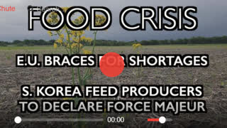 FOOD CRISIS EU EXPECTS SHORTAGES, S. KOREA FEED PRODUCE