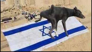 Piss on Israel