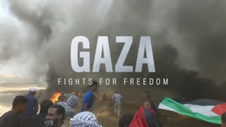 [2019] Gaza Fights For Freedom