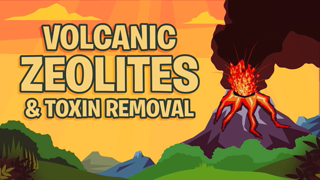 Volcanic Zeolites & Toxin Removal