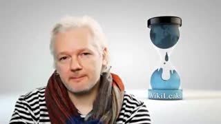 WIKILEAKS DECEPTION