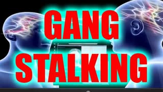 FORMER GANG STALKING PRIVATE SECURITY SPILLS ON PROGRAM!