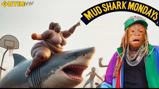 Mud Shark Monday BONUS SHOW OMETV! Show starts @ 8:30 Eastern & 5:30 West Coast!Share Stream on Gab,4chan,X,Telegram etc. SUPER CHAT LINK: https://entropystream.live/app/HT