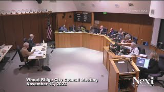 Antisemitic remarks overtake city council meeting's public comment