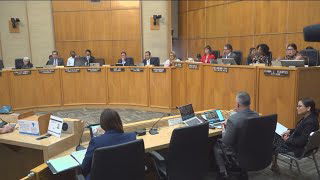 Myriad callers hijack San Diego City Council meeting with hateful slurs