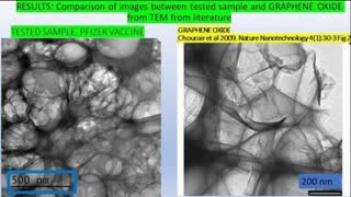 ðŸš¨ COVID-19 IS CAUSED BY GRAPHENE OXIDE INTRODUCED IN SEVERAL WAYS