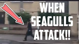 Jewish Man ATTACKED By Seagulls in London