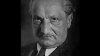 Martin Heidegger - Entitled Opinions