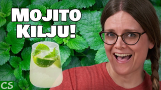 Kilju Recipe - Sugar Wine - Making Mojito Kilju