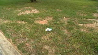 Antisemitic fliers tossed into second north Raleigh neighborhood