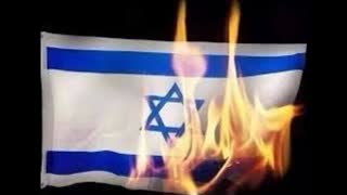 Jews burn Israel flag in London