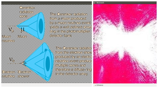 Fermilab Explains Muons But I show Them