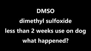 DMSO dimethyl sulfoxide less than 2 weeks use on dog what happened?