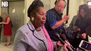 Sheila Jackson Lee on AR15