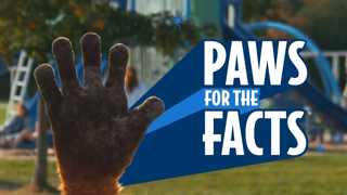 Expecting: Paws for the Facts! (full version)