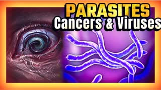 The Medical Mafia is exposed by the hidden knowledge that "VIRUSES" and "CANCER" are parasites!