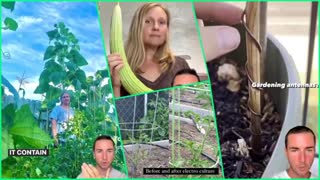 The Gardening Secret They Don't Want You To Know About - Grow Massive Plants