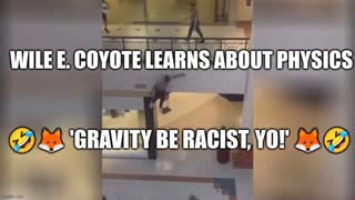 WILE E. COYOTE ??? LEARNS THAT GRAVITY IS RACIST