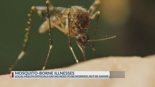 Mosquitoes test positive for West Nile Virus