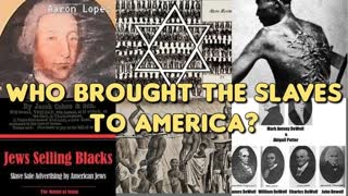 WHO BROUGHT THE SLAVES TO AMERICA?