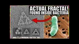 Wow! First Ever Fractal Molecule Discovered Inside Bacteria___And It Works!