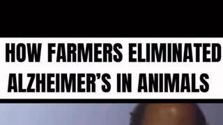 How FARMERS Eliminated ALZHEIMER'S In Their ANIMALS ('Alzheimer's is a physician caused disease...')