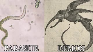 Alpha Talkz: Parasites Are Demons