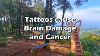 Tattoos cause Brain Damage and Cancer