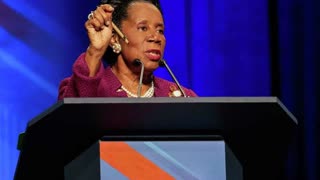 SHEILA JACKSON LEE GOES APE ? ON HAPLESS STAFFERS AND CHIMPS OUT EPICALLY