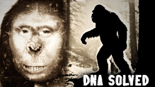 Captured Bigfoot Mystery Solved: Shocking DNA Results Revealed