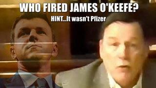 177.  Mike Gill, James O'Keefe - The Crime Of The Century