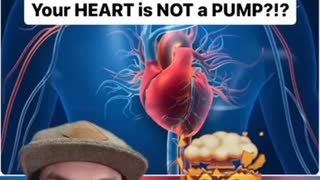 The Heart is a Vortex Not a Pump