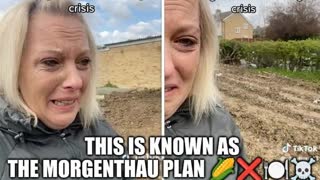 THE MORGENTHAU PLANðŸŒ½âŒAS ILLUSTRATED BY THE PURPOSEFUL DESTRUCTION OF CARLY BURD'S COMMUNITY GARDEN